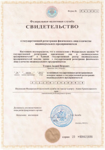 Свидетельство о государственной регистрации ИП