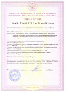 Лицензия (нового образца)