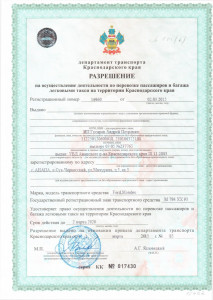 Разрешение на осуществление деятельности по перевозке пассажиров и багажа